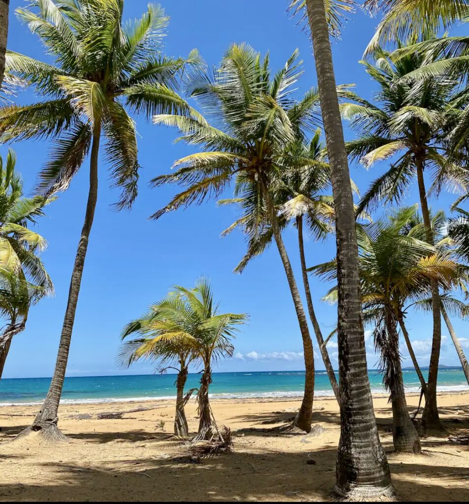 Playa Azul III Luquillo, P.R. 00773