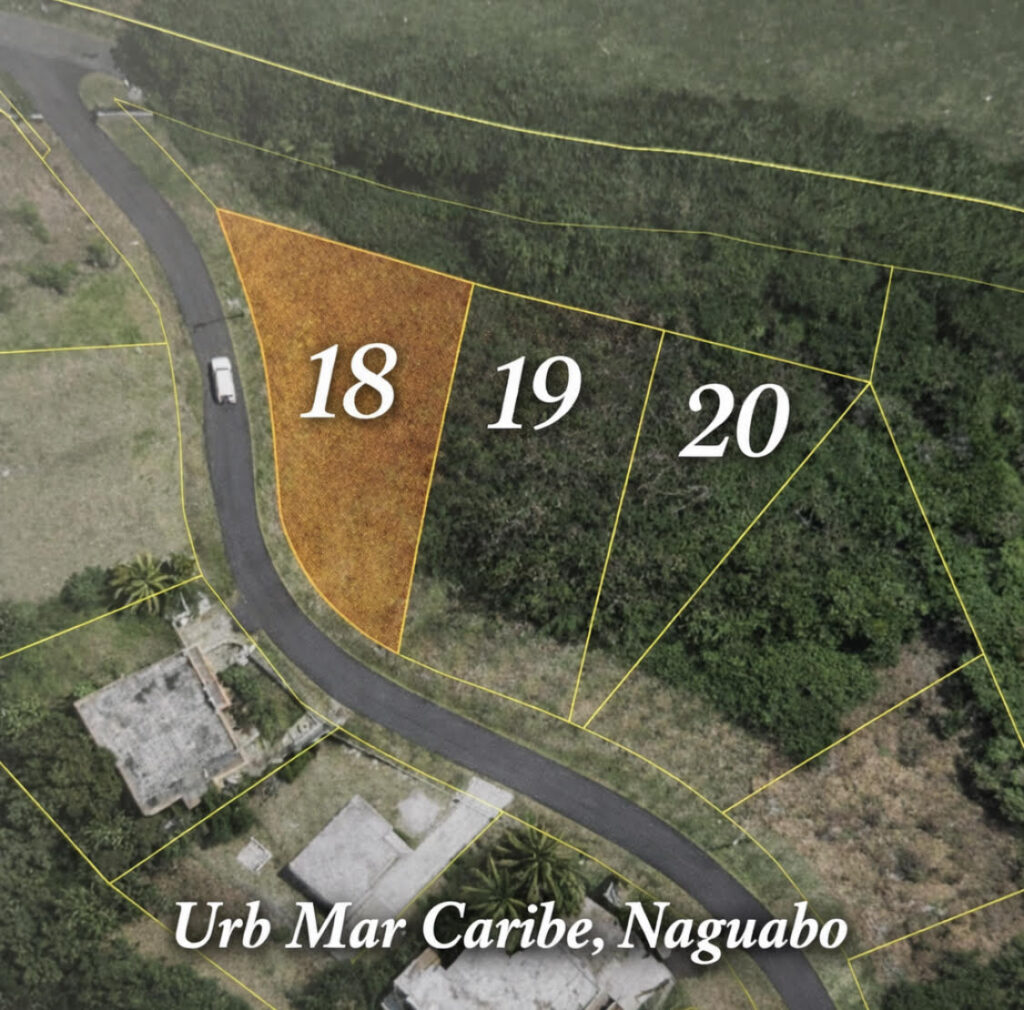 URB. MAR CARIBE NAGUABO, PR